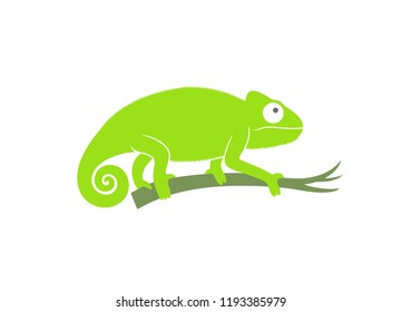 Green chameleon. Abstract chameleon on white background. EPS 10. Vector illustration

