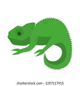 Green chameleon animal. Jungle exotic creature. Tropical reptile with big eyes. Isolated flat vector illustration