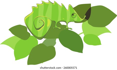 Green chameleon in leafs