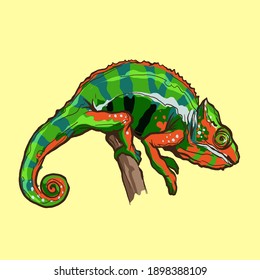 20,522 Chameleon Stock Vectors, Images & Vector Art | Shutterstock