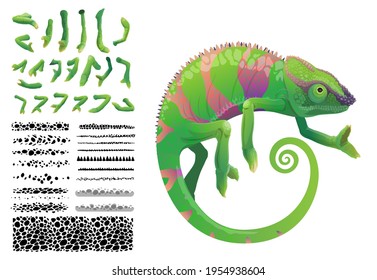 Green Chameleon Lizard Cartoon Vector Tropical Reptile Animal. Chameleon Creation Kit With Constructor Set Of Skin Pattern Brush With Camouflage Spots And Legs With Toes