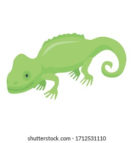 Green chameleon lizard icon. Isometric of green chameleon lizard vector icon for web design isolated on white background