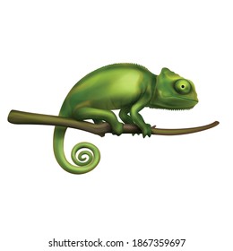 Green chameleon lizard sitting on tree branch closeup isolated realistic image white background vector illustration 