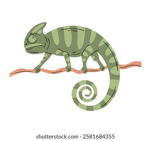 Green chameleon on a branch. Exotic small reptile lizard. Nature and mystery. Wildlife animal. Vector illustration isolated on white background