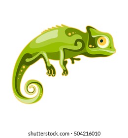 green chameleon on white background