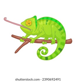 Green chameleon seated on brown branch, twig isolated on white background. Vector illustration for poster, postcard, banner, web, design, arts. Print to party, sticker, badge, flyer