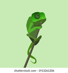 Green chameleon sitting on the branch on green background, vector illustration