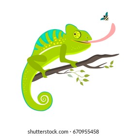 Green chameleon sitting on the branch on white background, vector illustration.