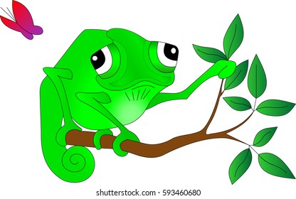 green Chameleon sitting on a tree branch