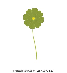 green chamomile minimalist simple one flower vector on white background