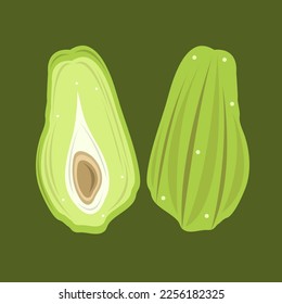 Green chayote flat vector illustration. Cute green vegetable chayote cartoon vector illustration for graphic design and decorative element