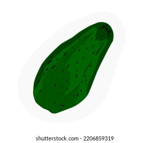 Green Chayote vector illustration of vegetables on gray background