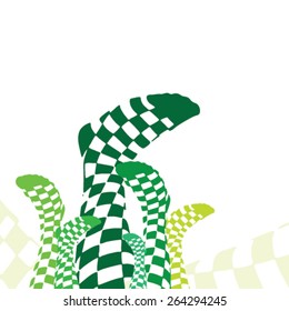 Green Checkered Socks on White Background