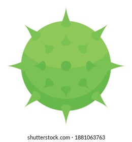 Green chestnut icon. Isometric of green chestnut vector icon for web design isolated on white background