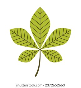 Hoja de castaño verde. Ilustración vectorial plana aislada en fondo blanco.