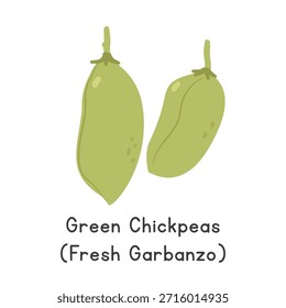 Ilustração do vetor de grão de bico verde. Grão-de-bico ou Chick Pea Cartoon Clipart, Vegetal em Estilo Plano. Também chamado de Cicer arietinum, Chholia, ou Green Chana. Conceito de leguminosas. Design de vetor vegetal comum