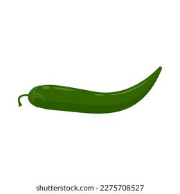 Green chili flat vector illustration isolated on white background