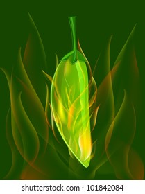 Green chili pepper in fire on dark background