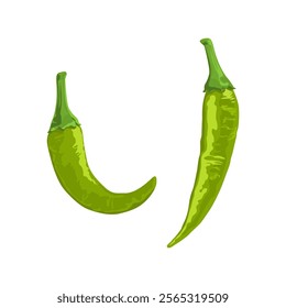 Green chili pepper Illustration Isolated on white background.