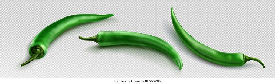 Green chili pepper png realistic 3d set. Hot cayenne isolated on transparent background. Organic vegetable harvest vector illustration. Natural seasoning for spicy souce. Mexican cuisine ingredient