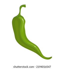 Green chili pepper. Vector graphics.