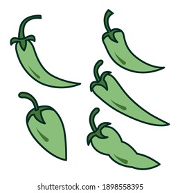 Icono del vector de pimienta verde.