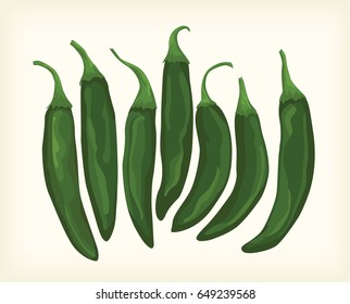 green chili vector