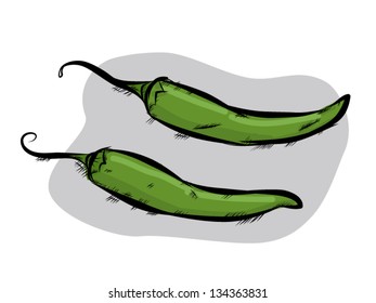 Green chili, vector cartoon, isolated sketching art, illustration