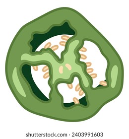 green chilli peppers vector isolated