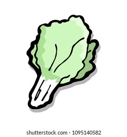 green chinese cabbage cartoon object on white background, vector doodle art