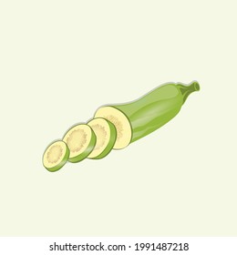 Green Chopped Courgette Vector flat design illustration, Cartoon style zucchini, courgette or baby marrow, summer squash flat vector icon isolated. Fresh Chopped zucchini or Courgette iİllustration