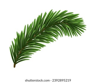 Green Christmas fir tree branch element. Vector illustration.