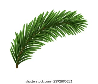 Green Christmas fir tree branch element. Vector illustration.