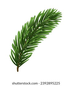 Green Christmas fir tree branch element. Vector illustration.