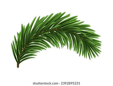 Green Christmas fir tree branch element. Vector illustration.