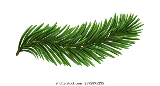 Green Christmas fir tree branch element. Vector illustration.