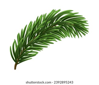 Green Christmas fir tree branch element. Vector illustration.