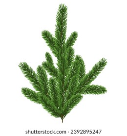 Green Christmas fir tree branch element. Vector illustration.