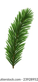 Green Christmas fir tree branch element. Vector illustration.