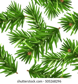 Green Christmas pine tree branch seamless background. Isolated on white vector illustration