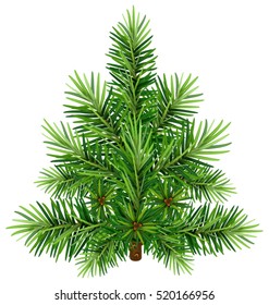 Green Christmas pine tree. Isolated on white vector illustration
