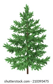 Green Christmas spruce fir tree isolated on white background. Vector