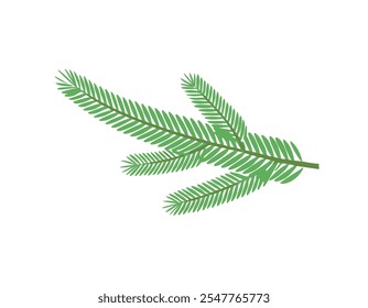 Green Christmas Tree Branch for Holiday and Seasonal Decorations