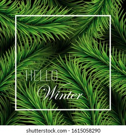 
Green Christmas tree branches. Abstract winter background for the holidays. Brochure template, poster design.