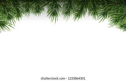 Green Christmas tree branches border on a white background. Vector Illustration.