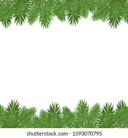 Green christmas tree branches isolated on white background.