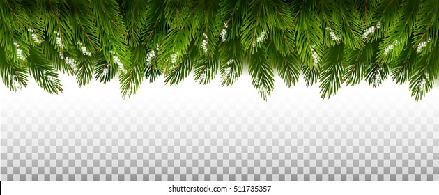 Green Christmas Tree Branches On A Transparent Background. Vector.