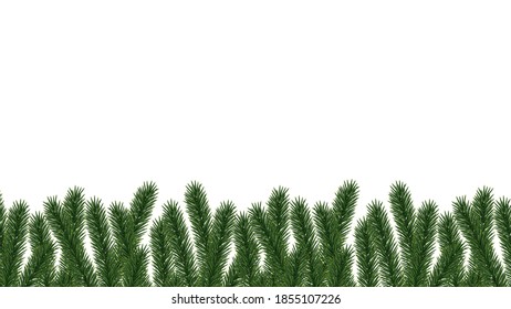 Green Christmas tree natural seamless border on white background