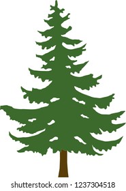 Green Christmas tree on a white background
