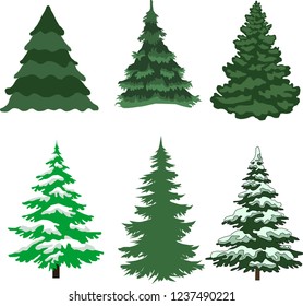 Green Christmas tree on a white background
